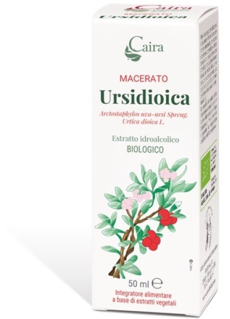 URSIDIOICA MACERATO CAIRA GTT