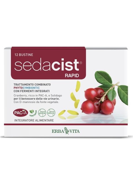 SEDACIST RAPID 6+6BUST