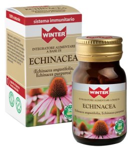 WINTER ECHINACEA 30CPS VEG