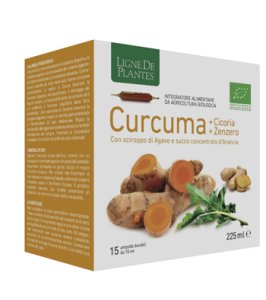 CURCUMA CICORIA ZENZ 15AMPOLLE