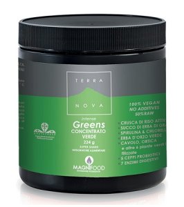 TERRANOVA SUPER SHAKE INT GREE