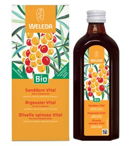 OLIVELLO SPINOSO VITAL SUCCO WE