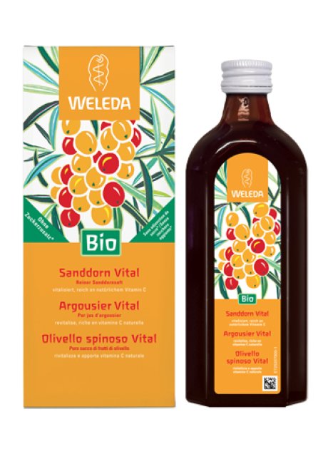 OLIVELLO SPINOSO VITAL SUCCO WE