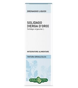SOLIDAGO TINT IAL 50ML EBV