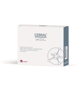 CEBRAL 14 BUSTINE