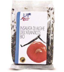 ALGHE ATL INSALATA 25G BIO