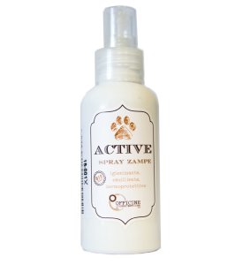 ACTIVE SPRAY ZAMPE 100ML