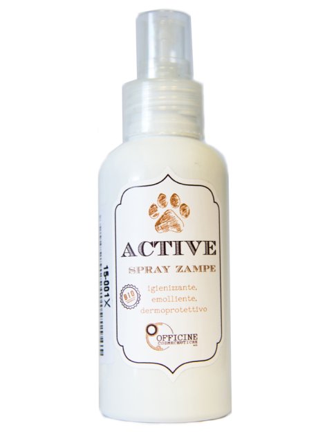 ACTIVE SPRAY ZAMPE 100ML