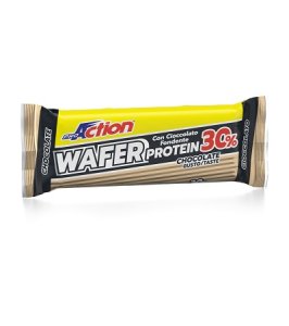 PROACTION PROT W CHOC 40G