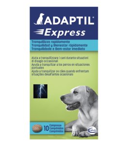 ADAPTIL EXPRESS 10 COMPRESSE