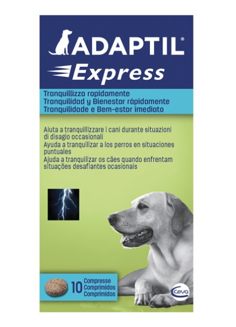 ADAPTIL EXPRESS 10 COMPRESSE