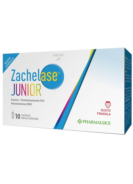 ZACHELASE JUNIOR 10FL 10ML