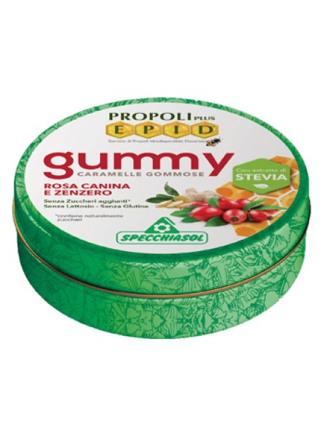EPID GOMMOSE ZENZERO 40G