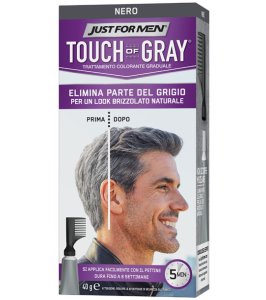 JUST FOR MEN TOUCH OF GRAY NE