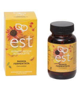 PAPAYA FERMENTATA ES 60TAV