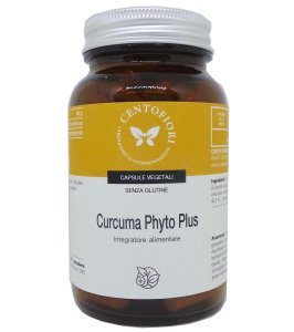 CURCUMA PHYTO PLUS 100CPS VEG CE