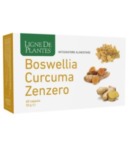 BOSWELLIA CURCUMA ZENZERO60CPS