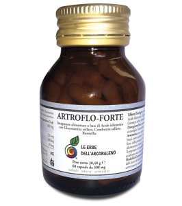 ARTROFLO FORTE 60CPS