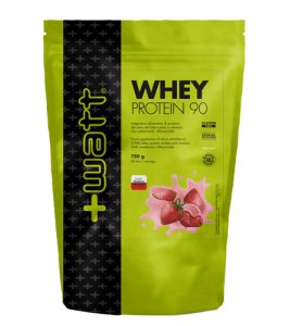 WHEY PROTEIN 90 FRA 750G DOYPA