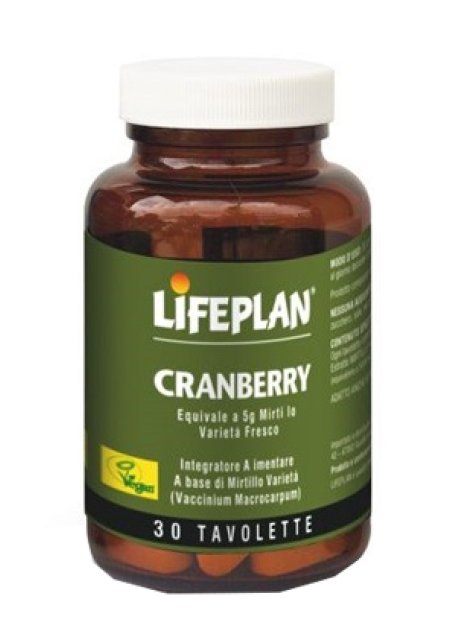 CRANBERRY 30TAV
