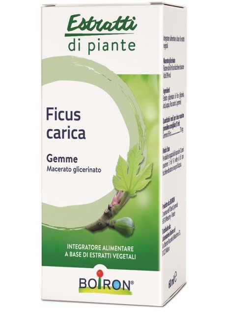 FICUS CARICA MG 60ML INT BO