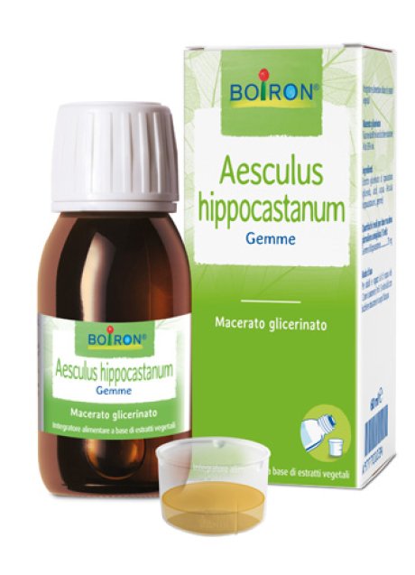AESCULUS HIP MG 60ML INT BO