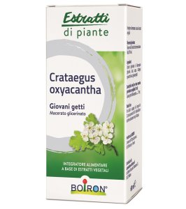 CRATAEGUS OXY MG 60ML INT BO