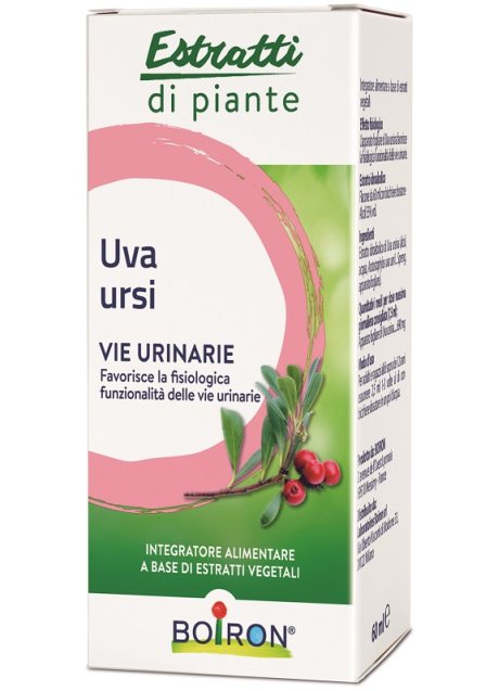 UVA URSINA EI 60ML INT BO