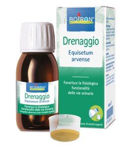 EQUISETUM ARV EI 60ML INT BO