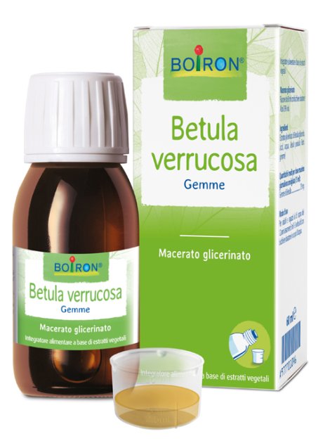 BETULA VERRUCO MG 60ML INT BO