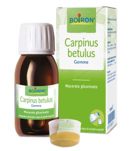 CARPINUS BETULUS MG 60ML INT BO
