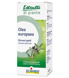 OLEA EUROPAEA MG 60ML INT