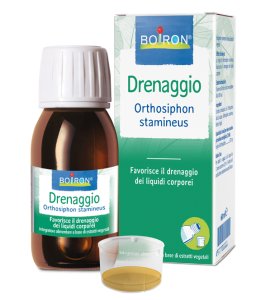 ORTHOSIPHON STA EI 60ML INT BO