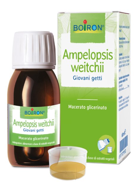AMPELOPSIS WEI MG 60ML INT BO