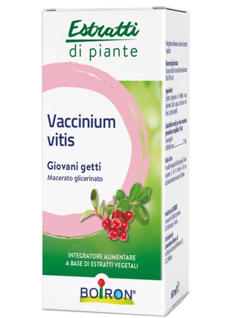 VACCINIUM VITIS MACERATO GLICERICO 60 ML INT