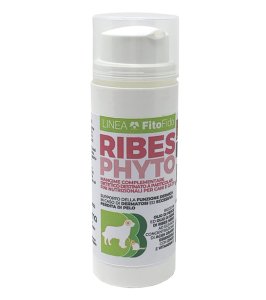 RIBESPHYTO 20BUST 2G