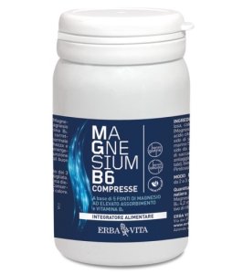 MAGNESIUM B6 60CPR EBV