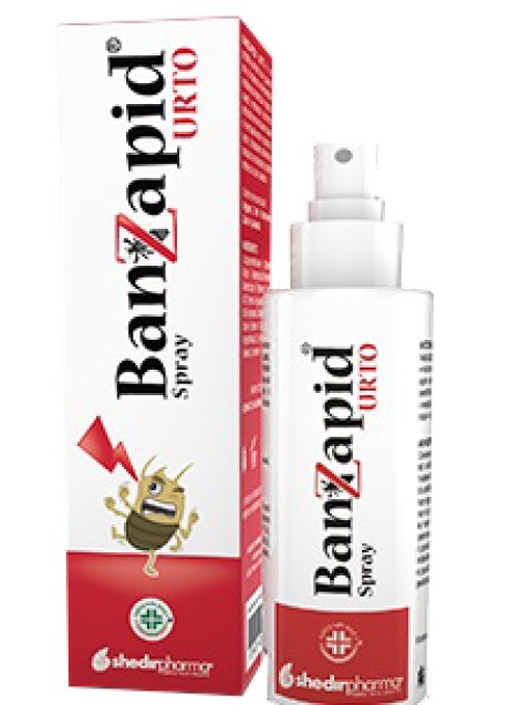 BANZAPID SPR TRATTAMENTO 100ML