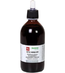 VITE VERGINE MG BIO 200ML FTM