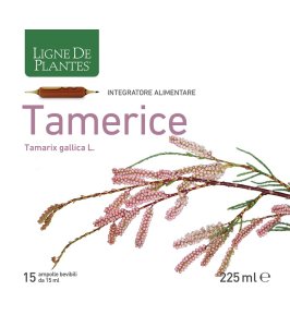 TAMERICE 15AMPOLLE