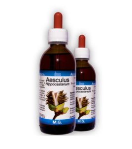 AESCULUS HIPPOCAST MG 150ML