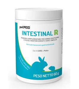 PETMOD INTESTINAL RODITORI 60G
