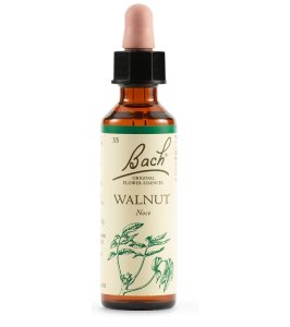 BACH WALNUT ORIG 20ML