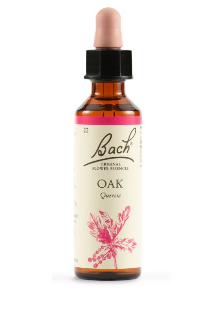 BACH OAK ORIG 20ML