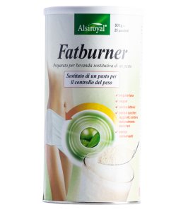 FATBURNER 500G