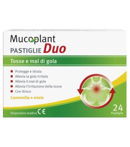 DR THEISS MUCO 24PAST DUO CAMO