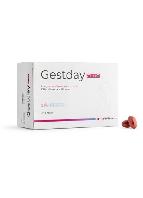 GESTDAY PLUS 60PRL