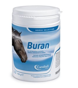 BURAN 700 GR