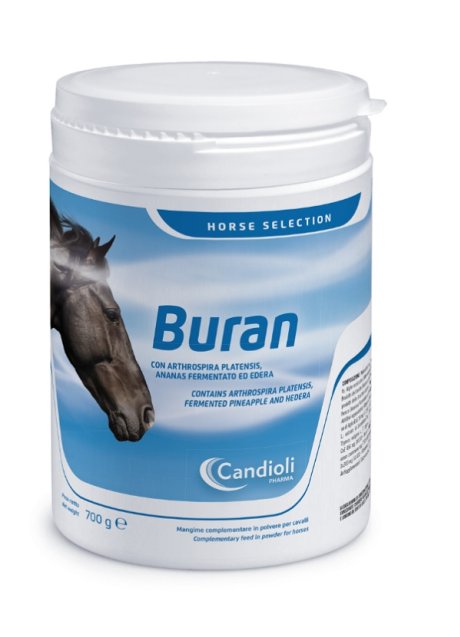 BURAN 700 GR