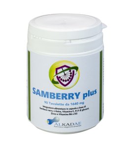 SAMBERRY PLUS 90TAV